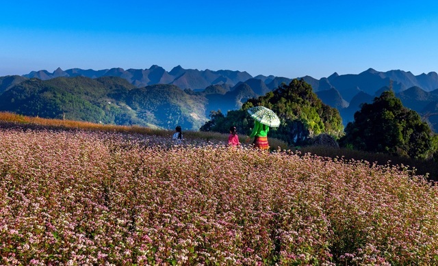 điểm đến nổi bật của hà giang