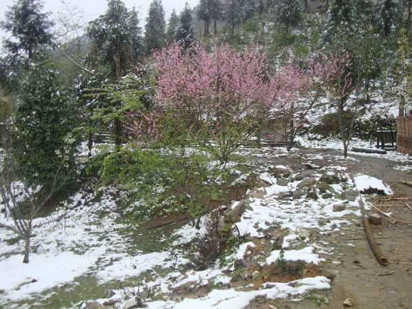 Hà Giang mùa đông