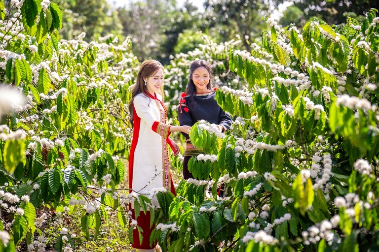 Kinh nghiệm Khám Phá Đắk Lắk