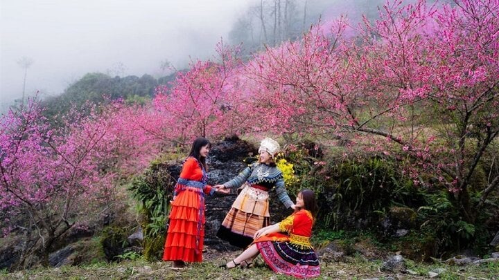 Lời khuyên cho chuyến đi du lịch Hà Giang