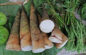 Măng Đắng Tây Bắc – Đặc Sản Lạ Miệng