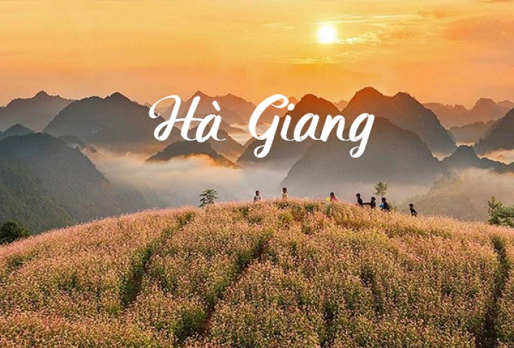 Trải nghiệm và hoạt động du lịch